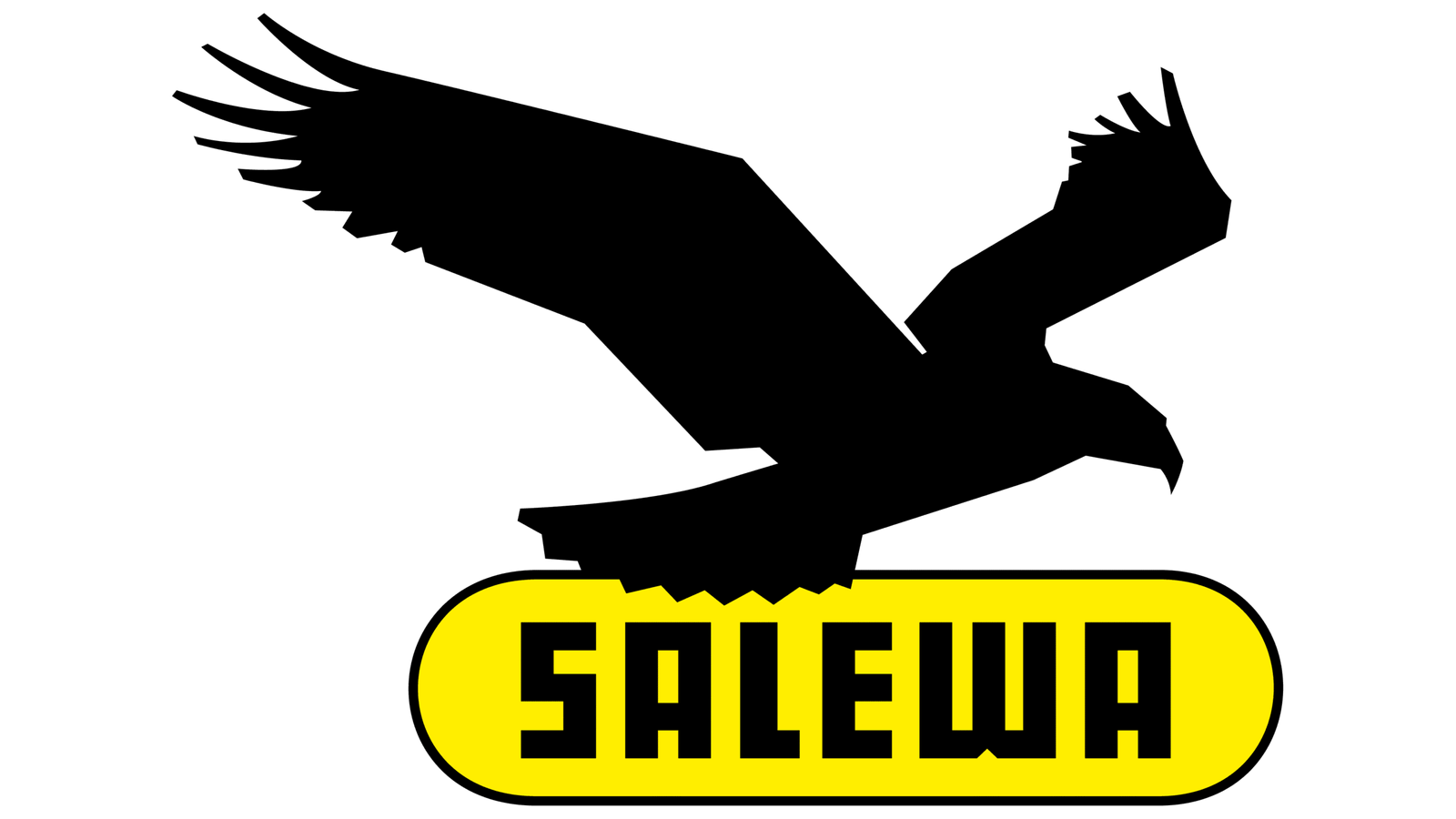 Salewa Logo 1990s